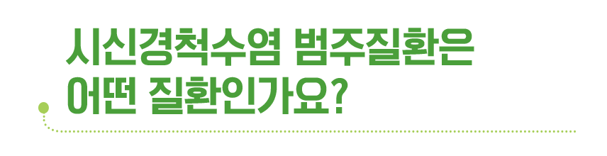 시신경척수염 범주질환은 어떤 질환인가요?